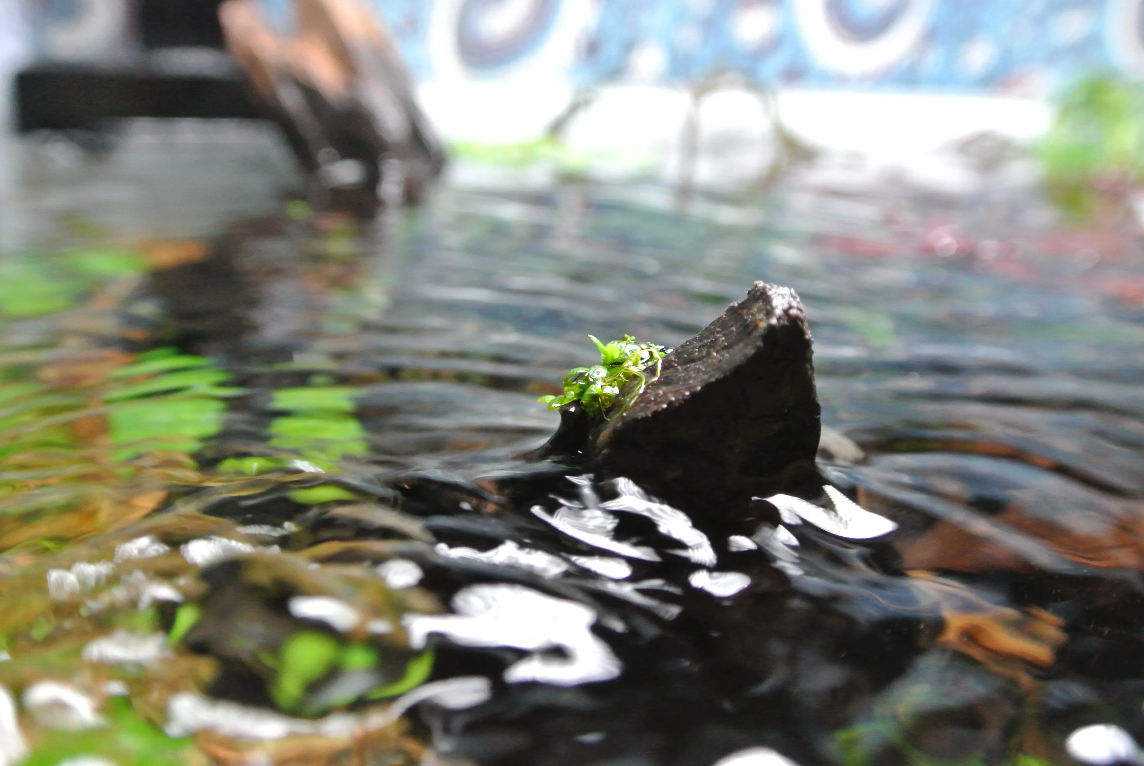 Hitchhiker HC Landing Spot.webp