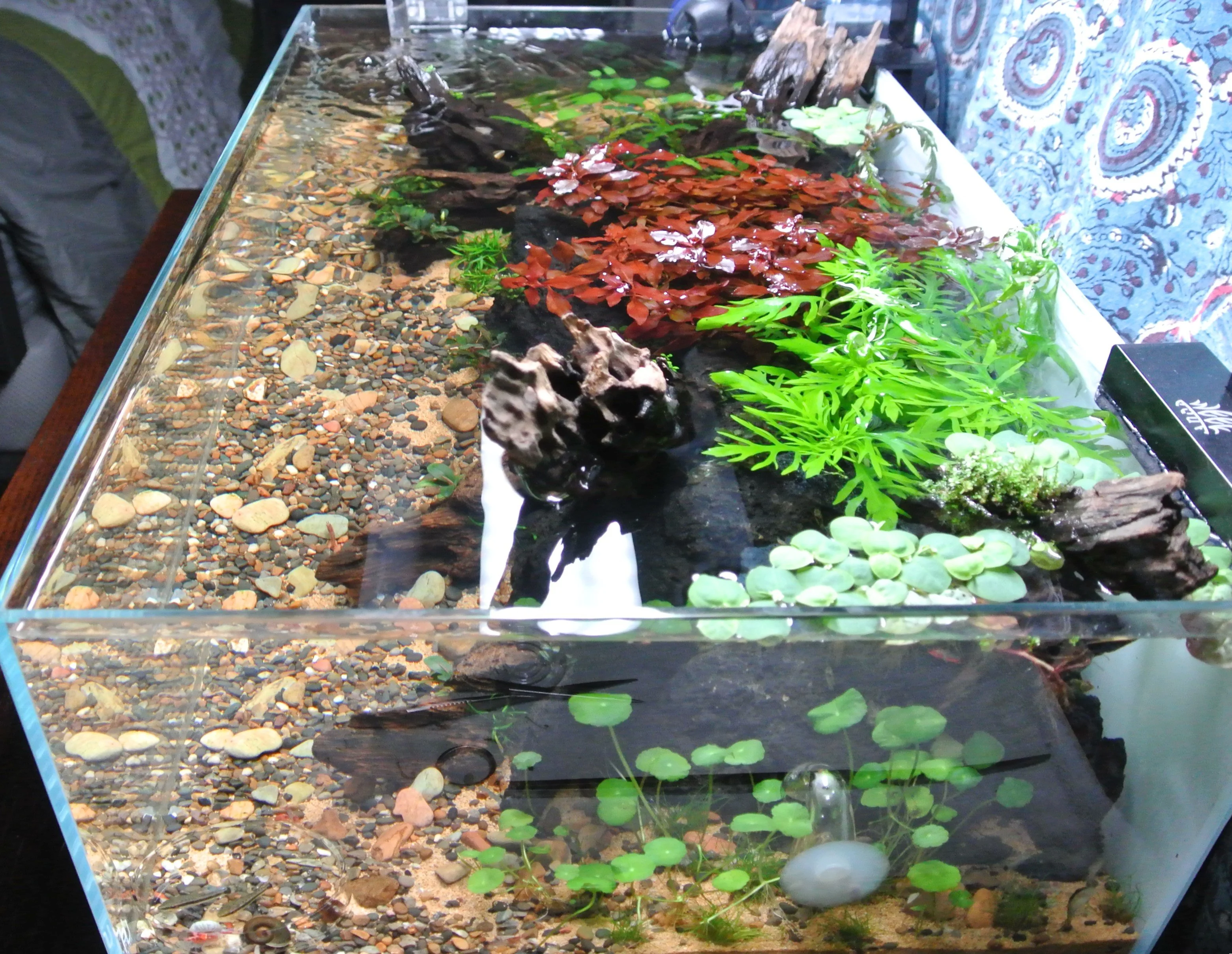 Right Side Top Down.webp