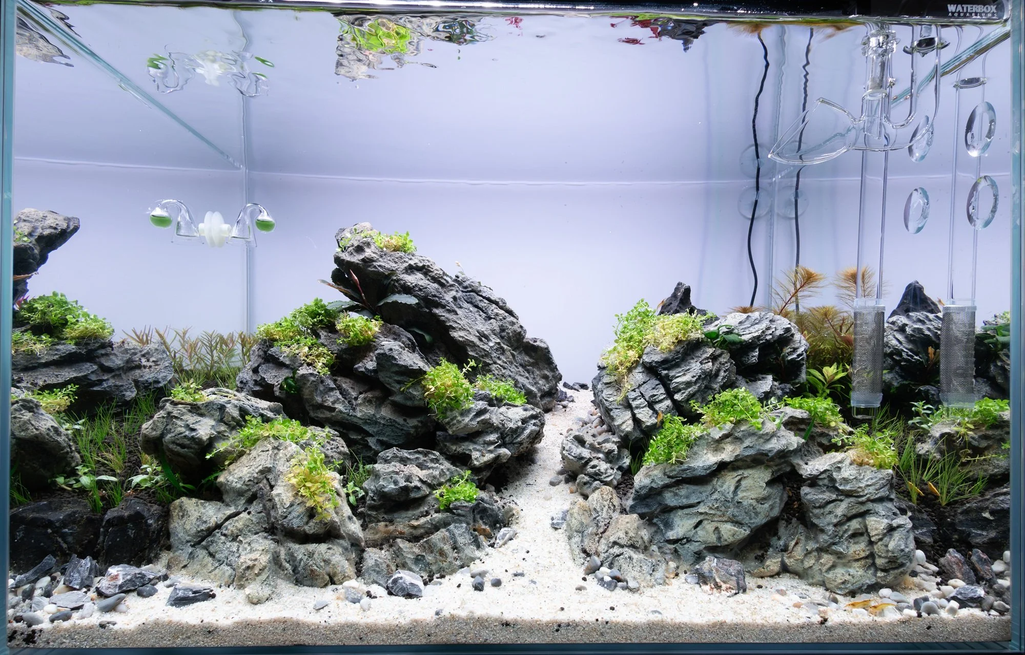 WB 25 12_23_25 Small.webp