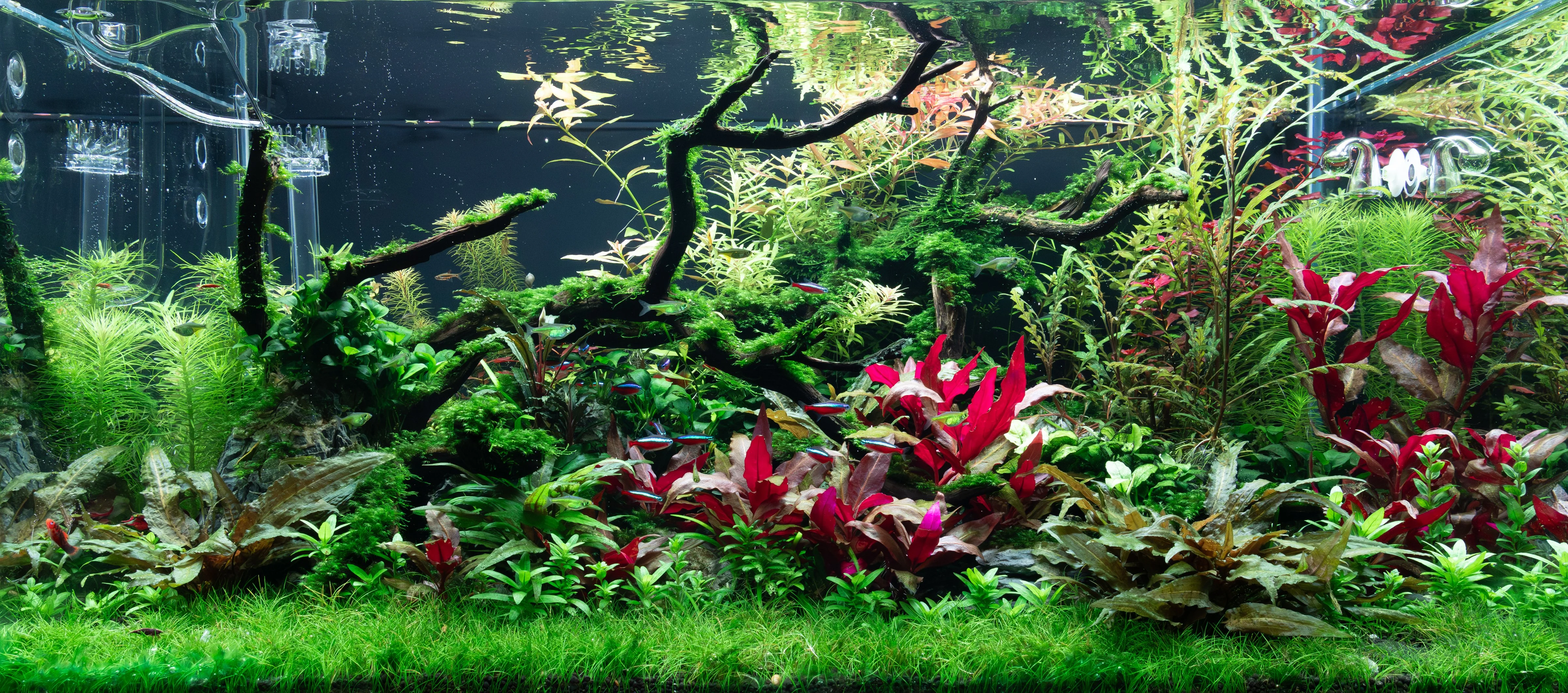 WB 3620 3_29_26.webp