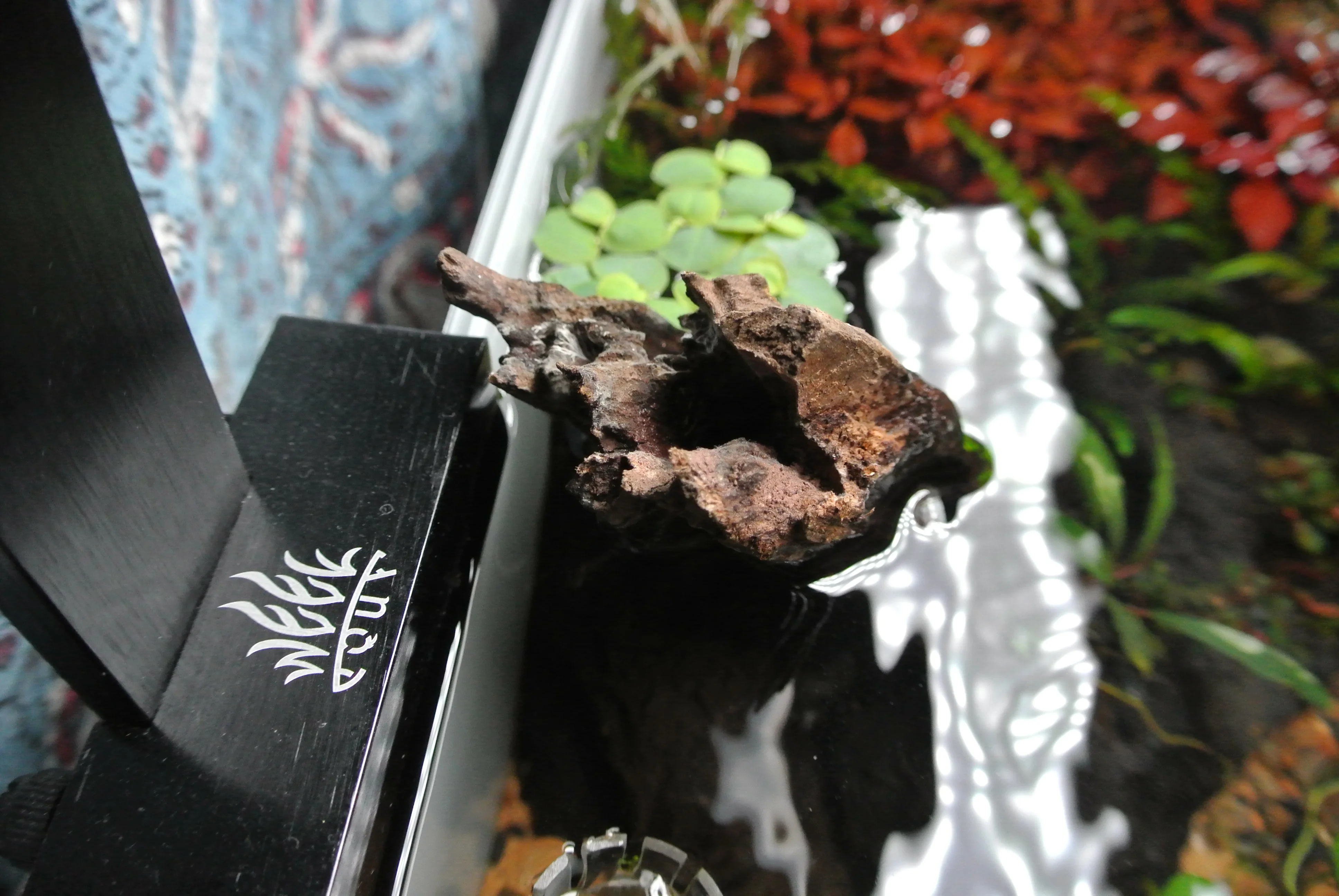 Wood With Hole in Top.webp